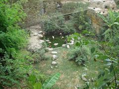 149 BIO PARC DE DOUE LA FONTAINE 4- 2016_000047
